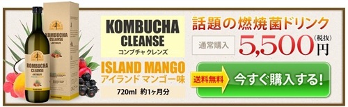 �����ʔ̂̃R���u�`���N�����Y�̒P�i���i